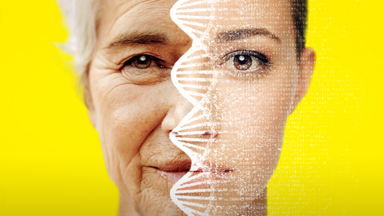 Longevity & Metabolic Health: The Science of Living Better After 40