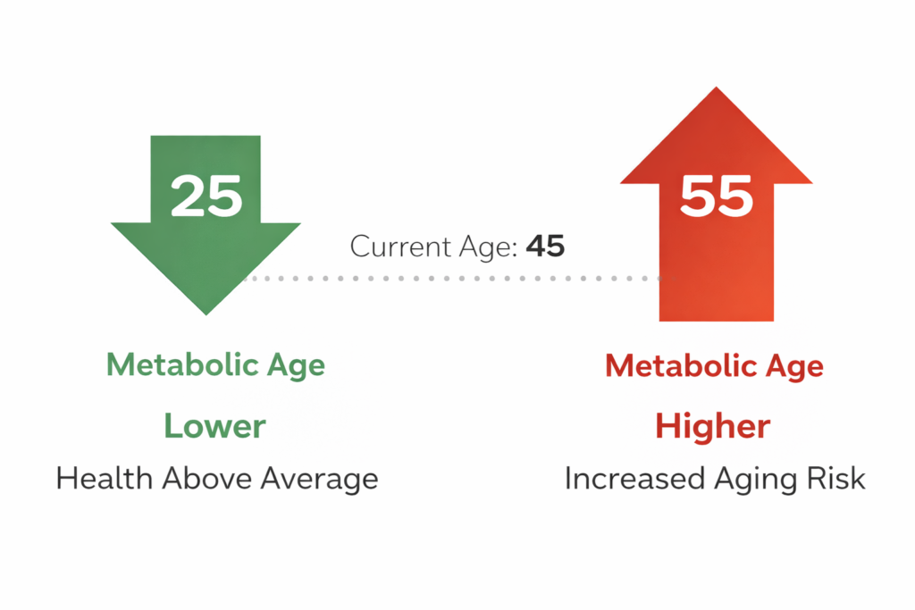 metabolic age and longevity explained