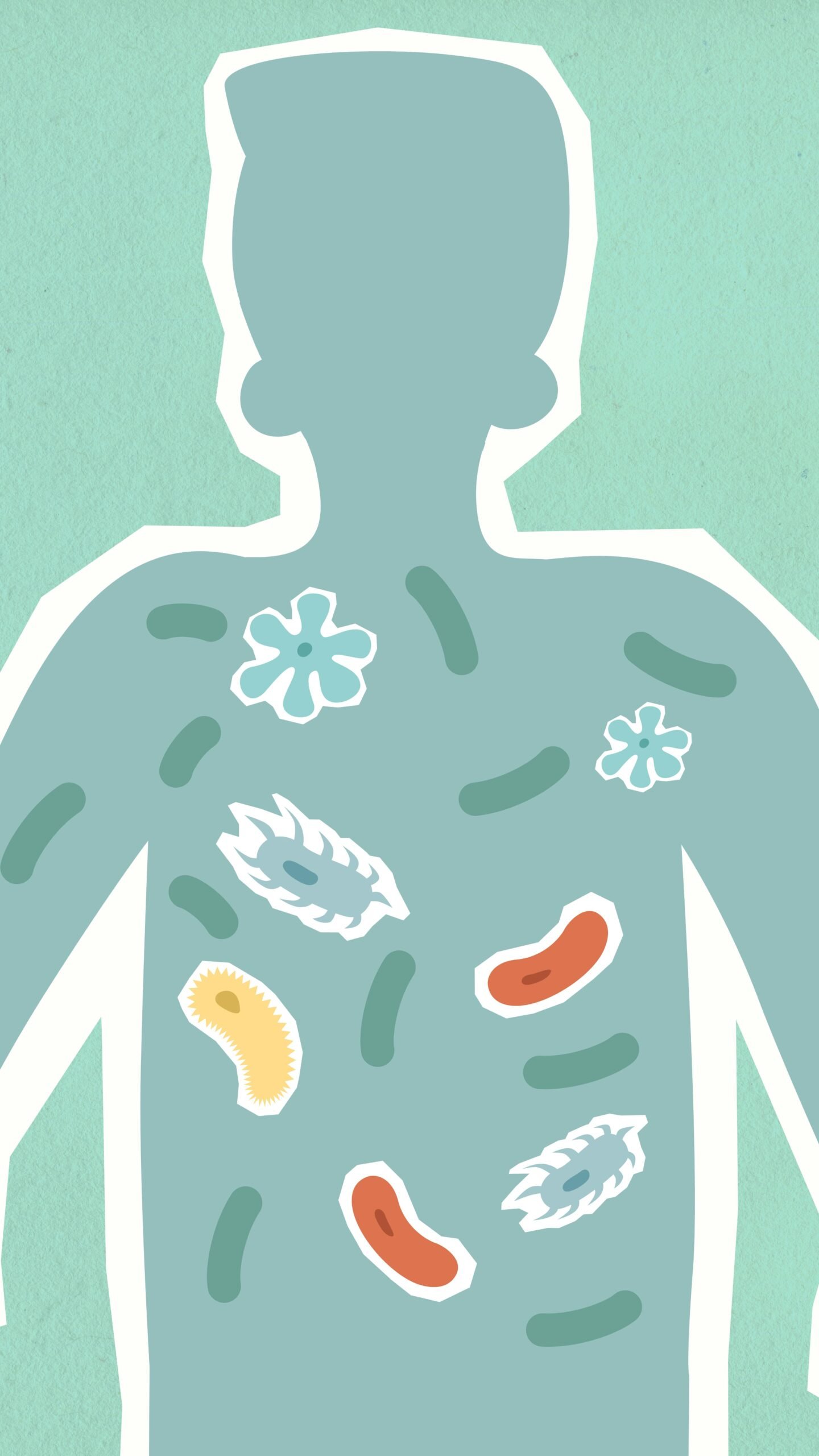 illustration of human body with bacteria and pathogens showing immune system defense mechanisms