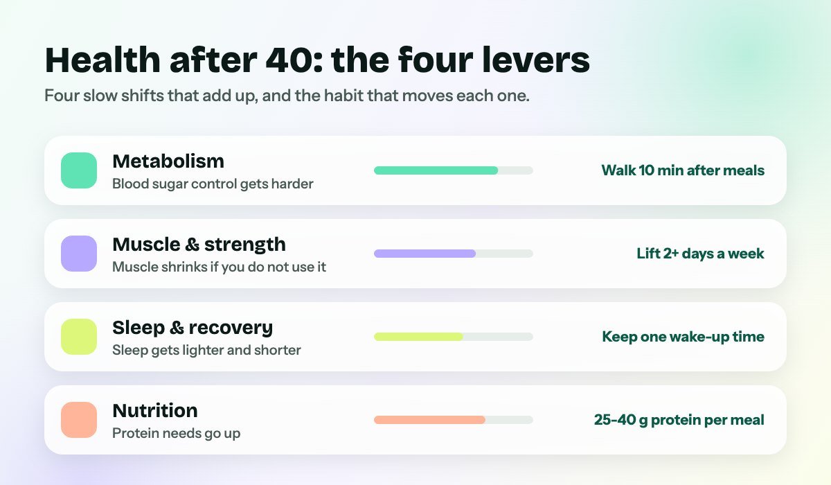 Health after 40: the four levers of metabolism, muscle, sleep and nutrition, with one habit for each