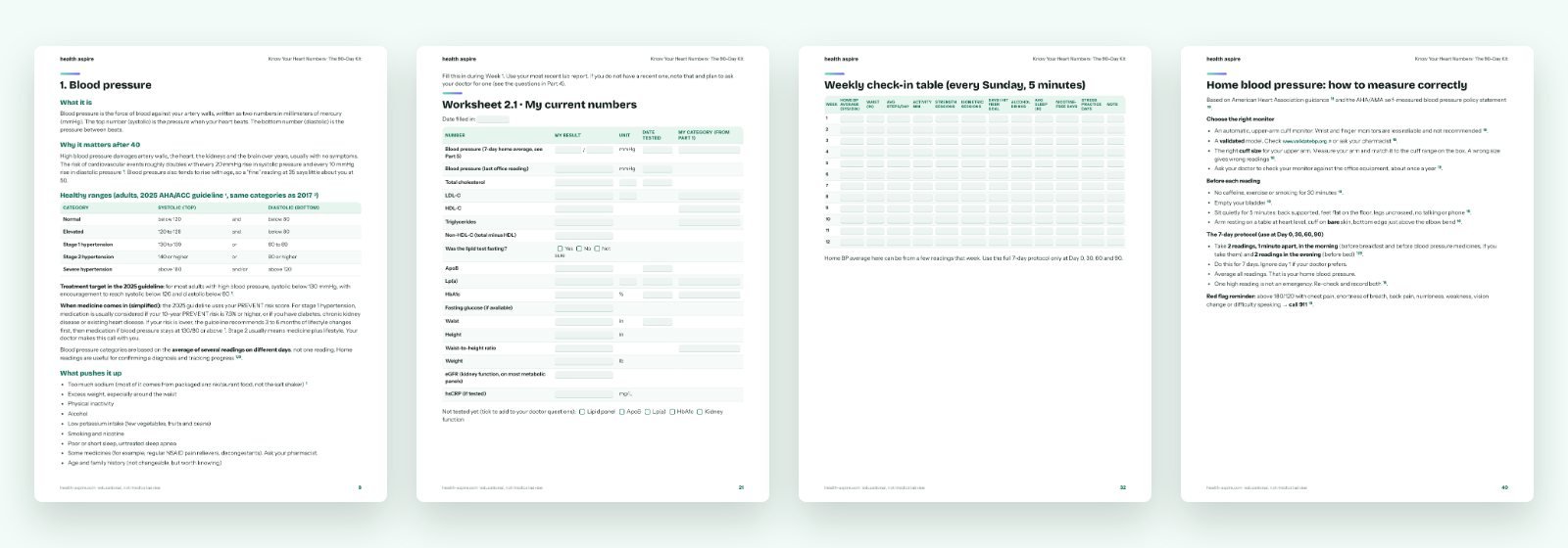 Inside the kit: number guides, worksheets, the 12-week plan and trackers